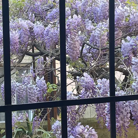 Palazzo Bracciolini Nel Cuore Della Citta